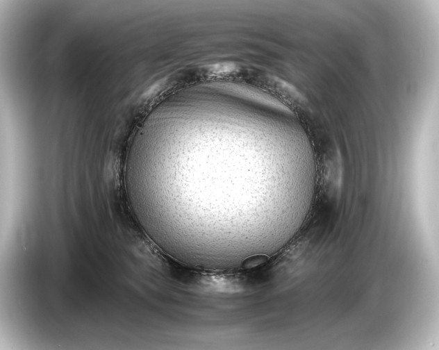 X0000087050565200705021159