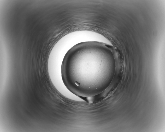 X0000087050566200705021159