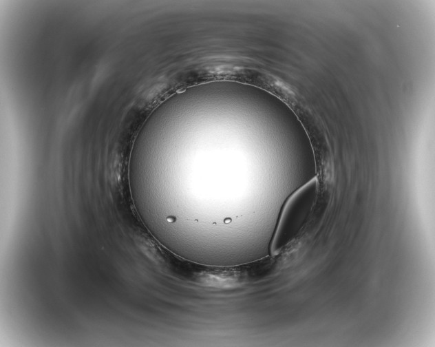 X0000087050567200705021159