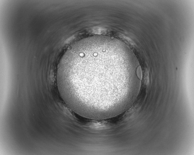 X0000087050569200705021159