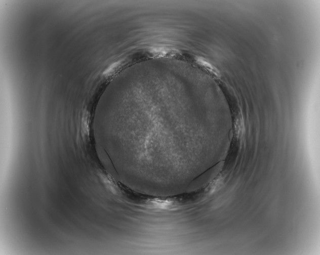 X0000087050570200705021159