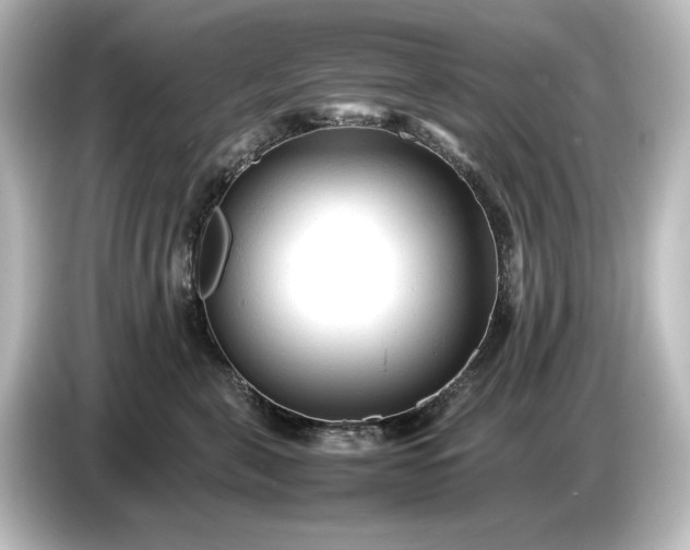 X0000087050571200705021159