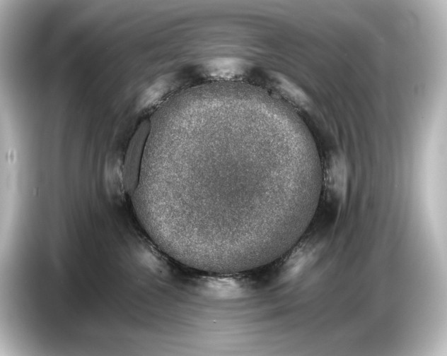 X0000087050572200705021159