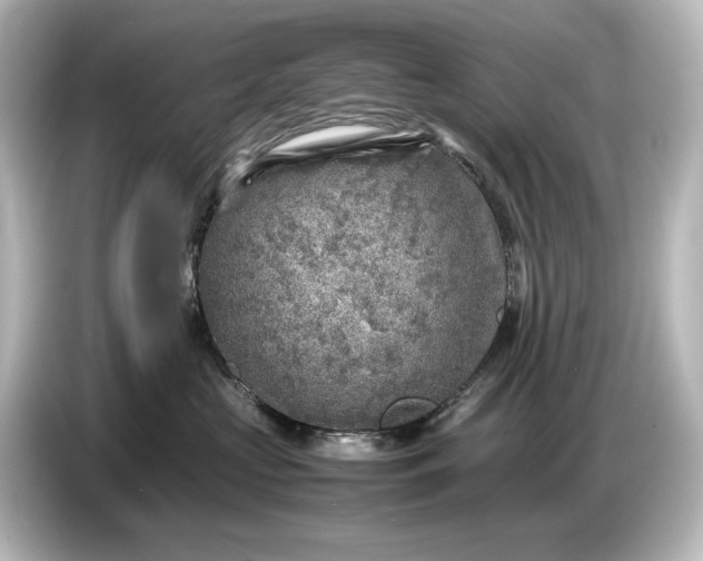 X0000087050573200705021159