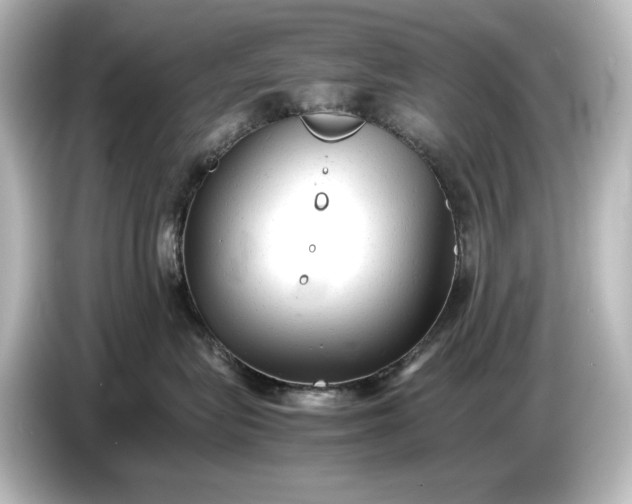 X0000087050575200705021159