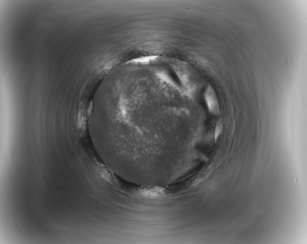 X0000087050576200705021159