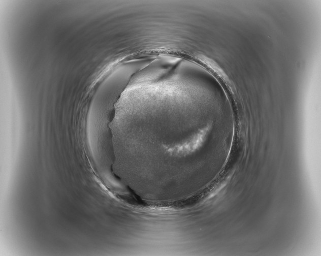 X0000087050577200705021158