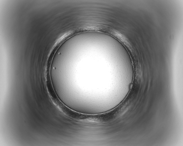 X0000087050578200705021158