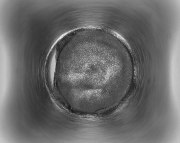 X0000087050580200705021158