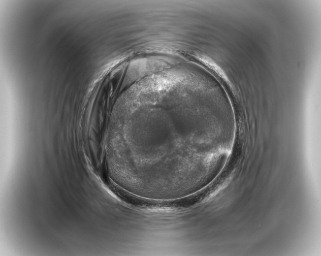 X0000087050581200705021158