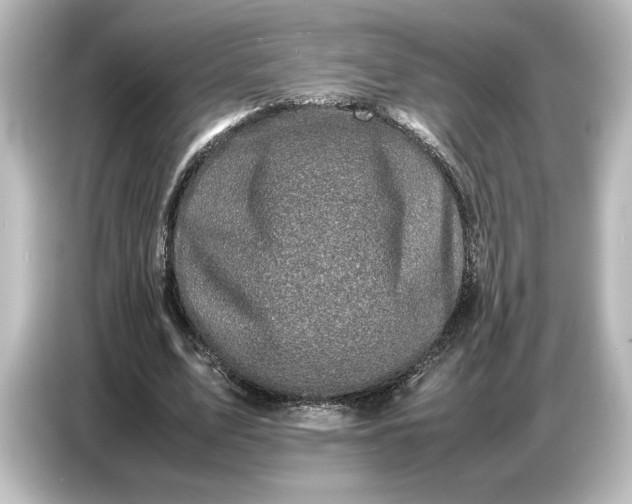 X0000087050583200705021158