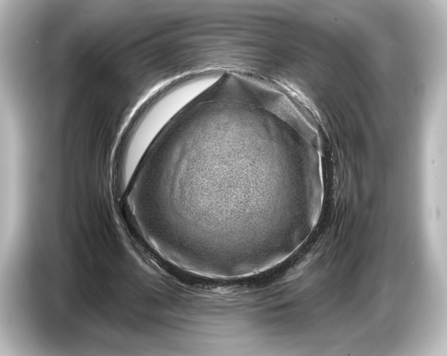 X0000087050584200705021158