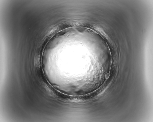 X0000087050585200705021158