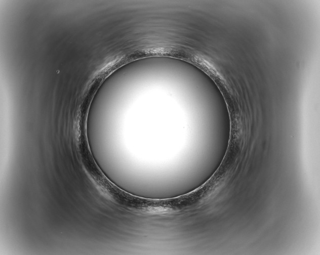 X0000087050586200705021158