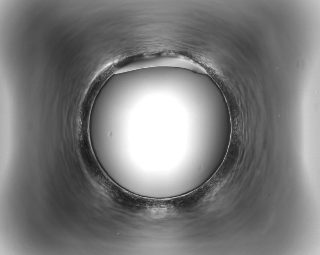 X0000087050587200705021158