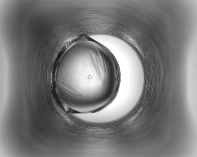 X0000087050589200705021158