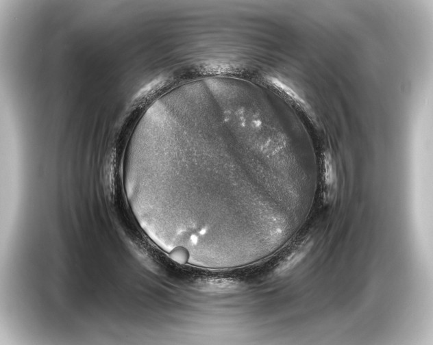 X0000087050590200705021158