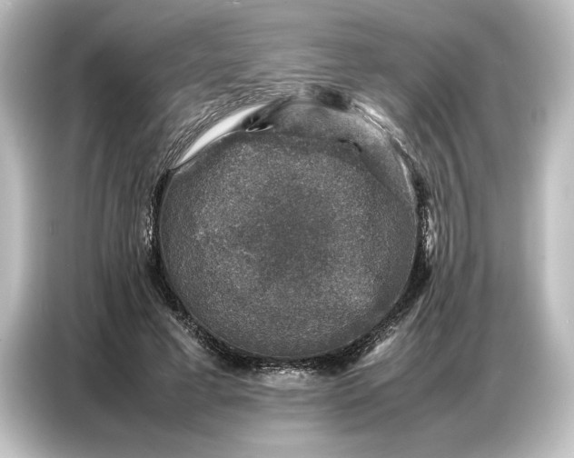 X0000087050593200705021158