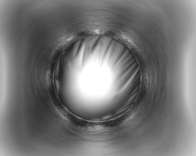 X0000087050594200705021158