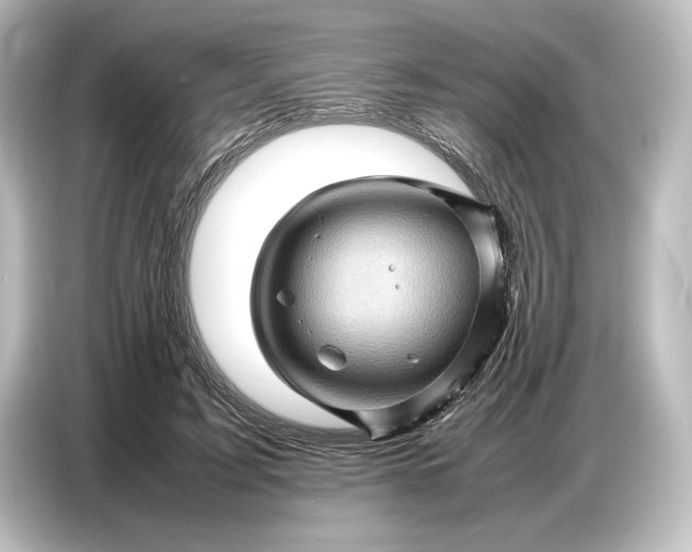 X0000087050595200705021158