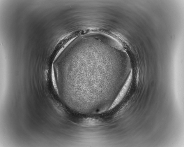 X0000087050596200705021158