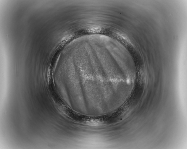 X0000087050598200705021158