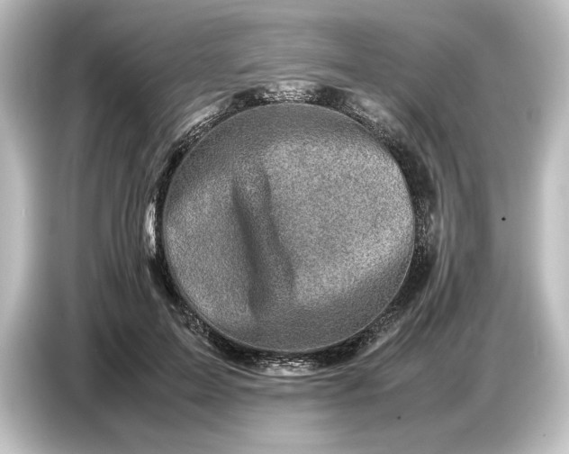 X0000087050599200705021158