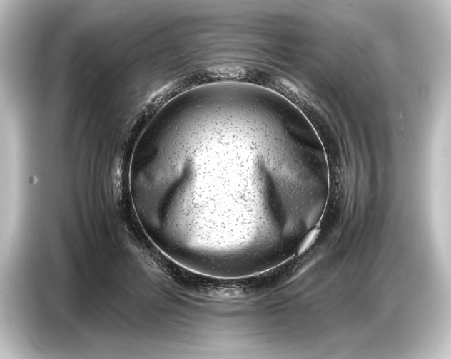 X0000087050600200705021158