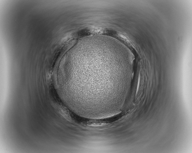 X0000087050601200705021158