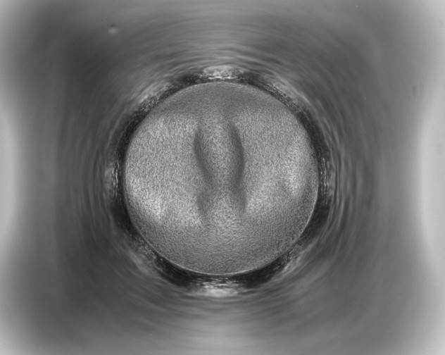 X0000087050603200705021158