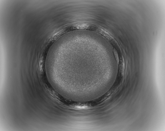 X0000087050604200705021158