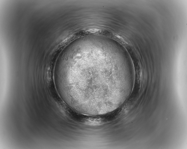 X0000087050606200705021158