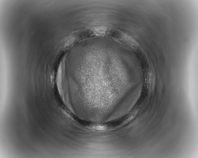 X0000087050610200705021158