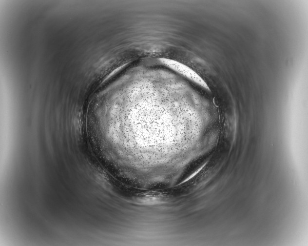 X0000087050612200705021158