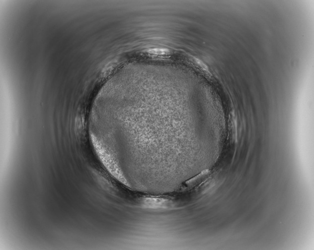 X0000087050614200705021158