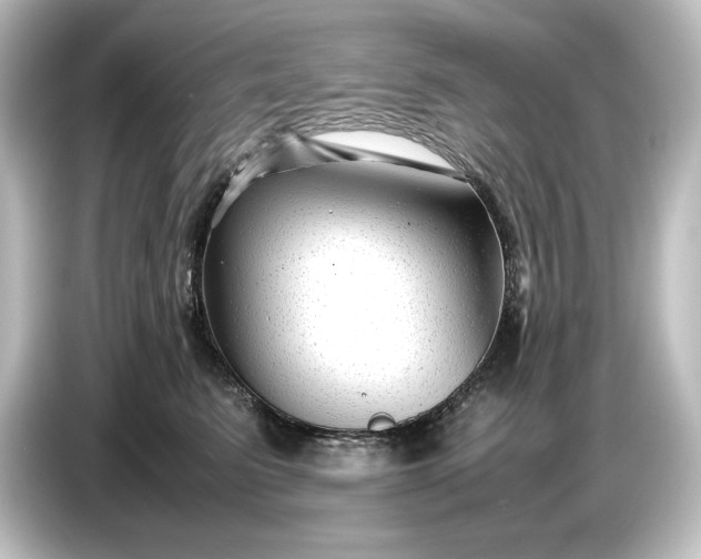 X0000087050615200705021158