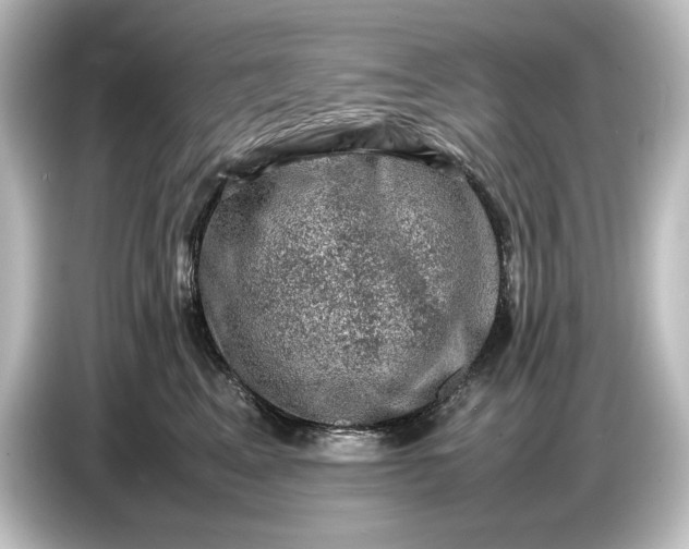 X0000087050617200705021158