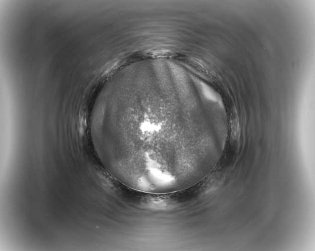 X0000087050618200705021158