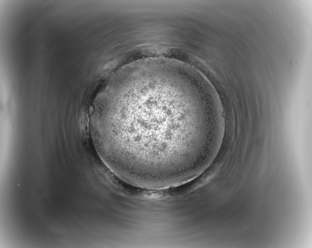 X0000087050624200705021158