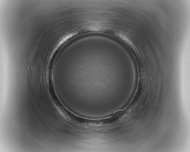 X0000087050626200705021157