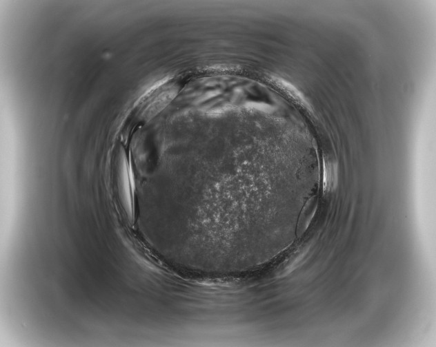 X0000087050627200705021157