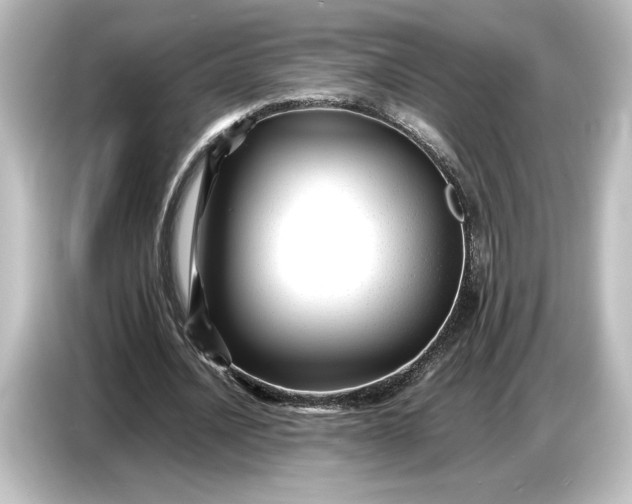 X0000087050628200705021157