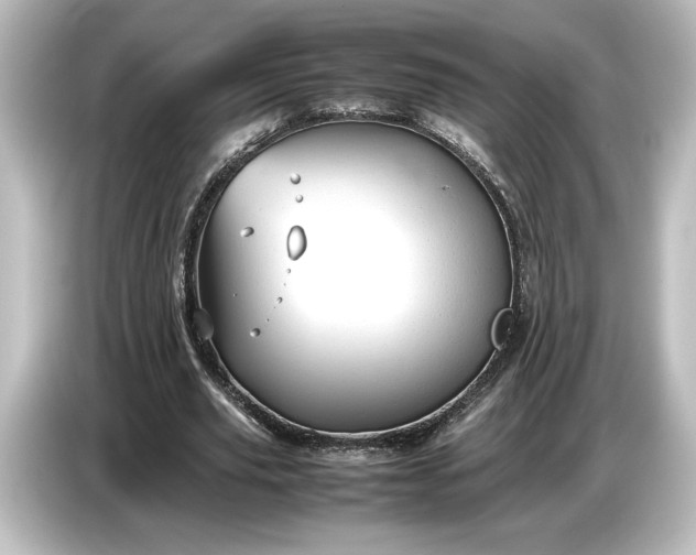 X0000087050629200705021157