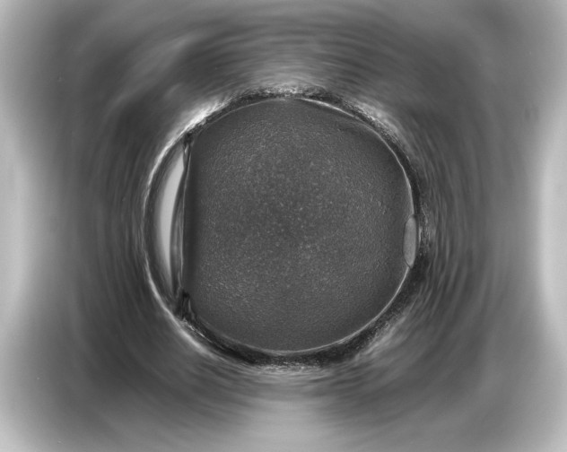 X0000087050630200705021157