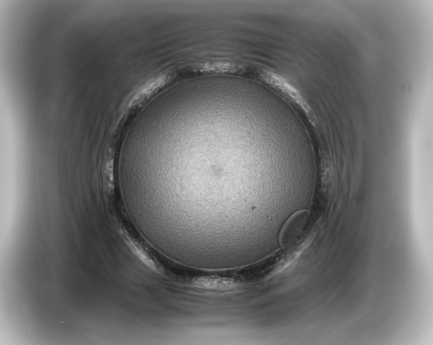 X0000087050633200705021157