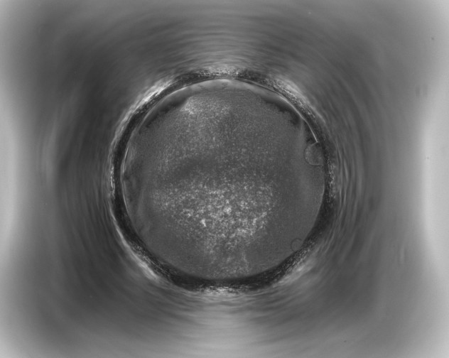 X0000087050634200705021157