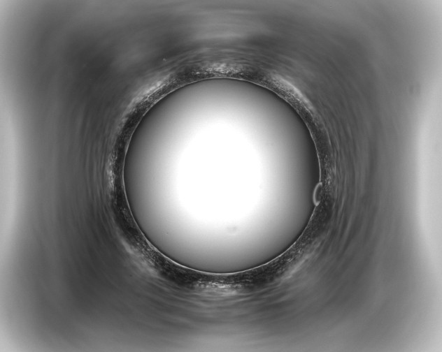 X0000087050635200705021157