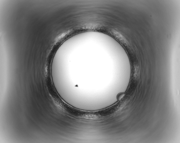 X0000087050636200705021157