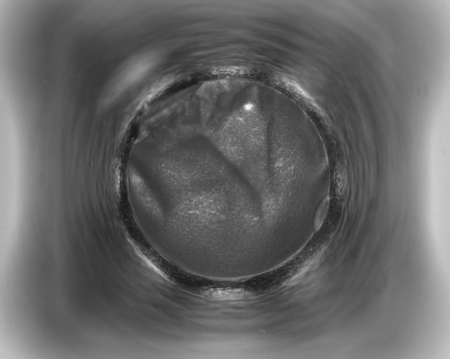 X0000087050637200705021157