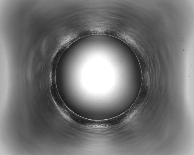 X0000087050638200705021157